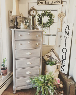 Store display of plants, decor, and a dresser